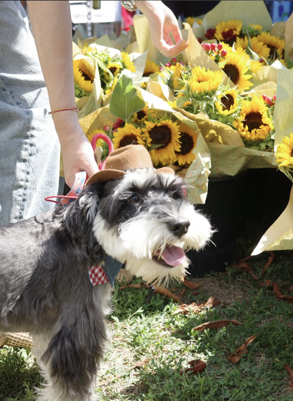 5 of the best things to do with kids this weekend